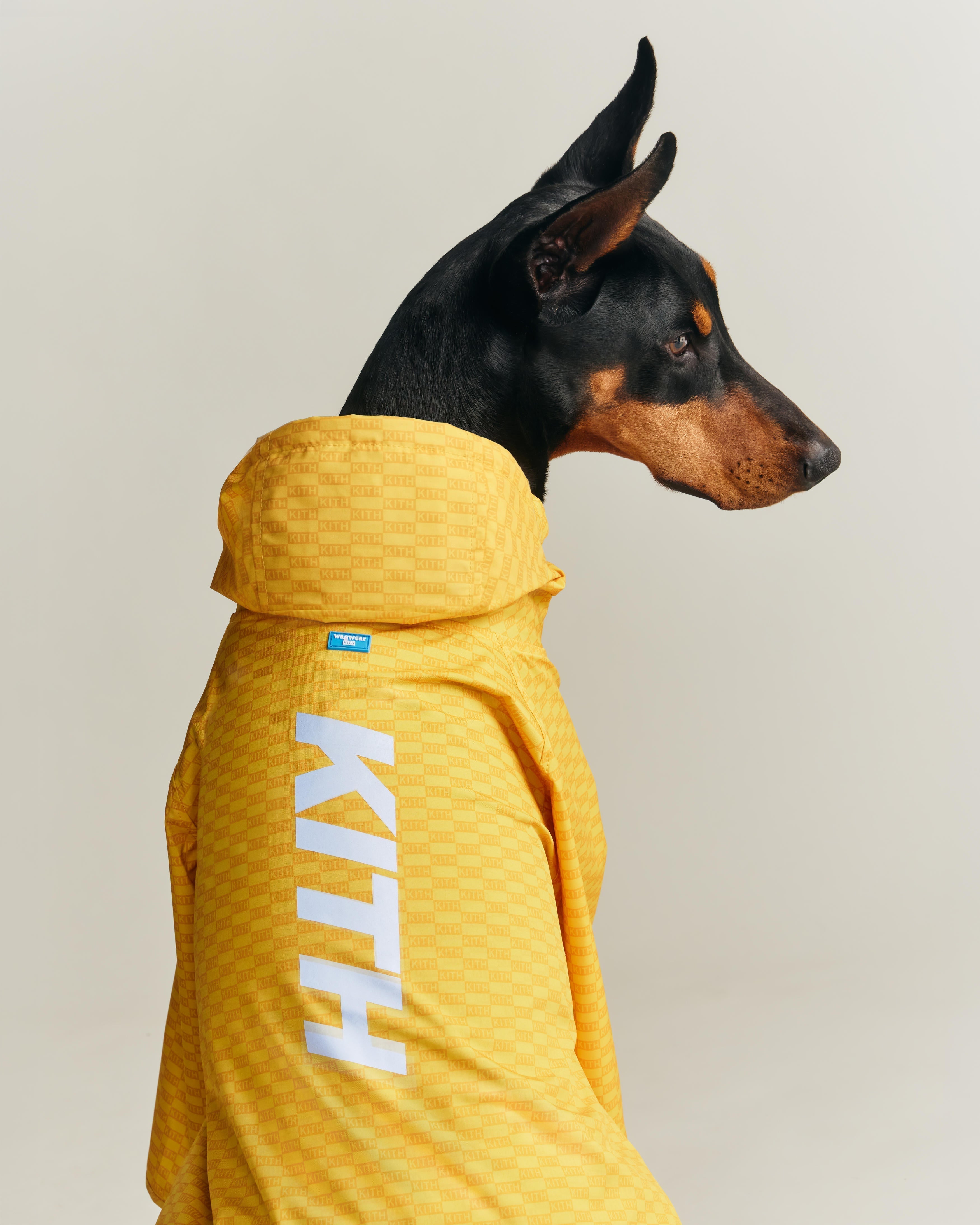 KITH wagwear コラボレインコート XS Kith for wagwear – Kith Japan
