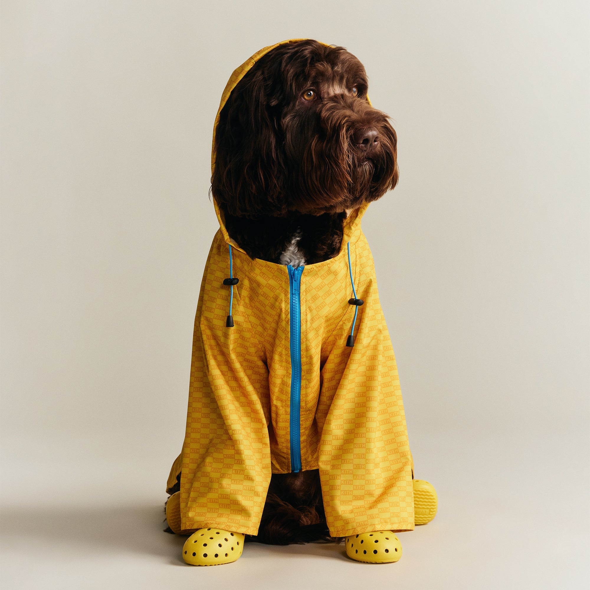 Monday Program New Releases | Kith JP – Kith Japan