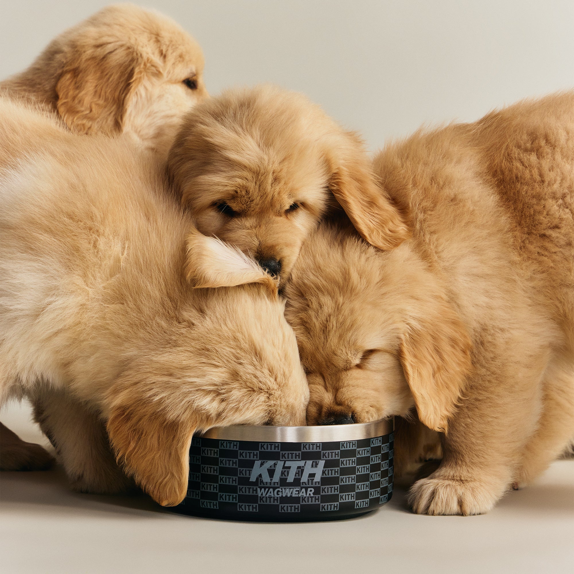 Kith for wagwear Metal Dog Bowl - Black – Kith Japan