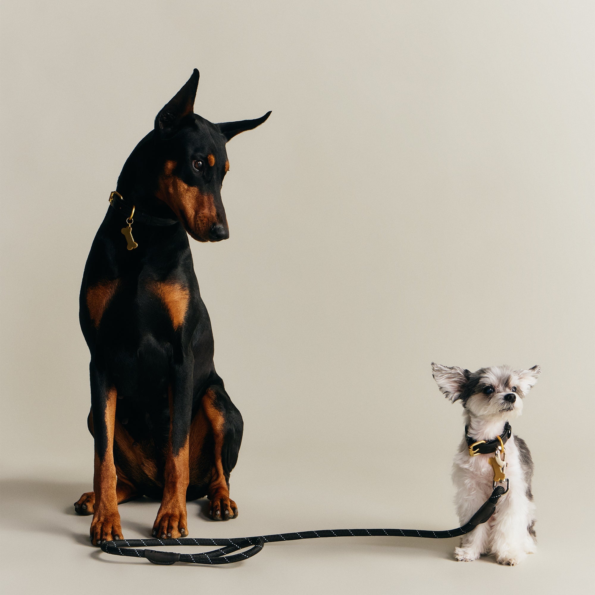 Kith for wagwear Rope Leash - Black – Kith Japan