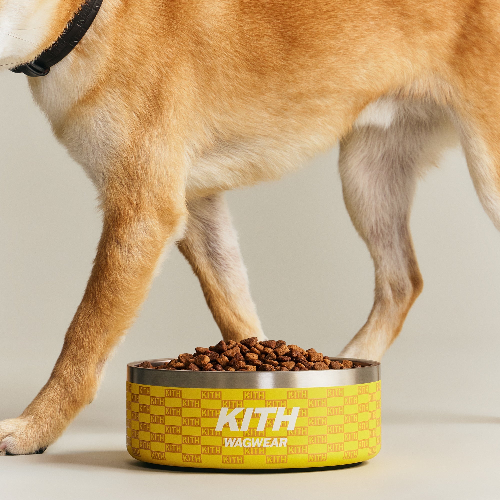 Kith wagwear XSサイズ Kith for wagwear