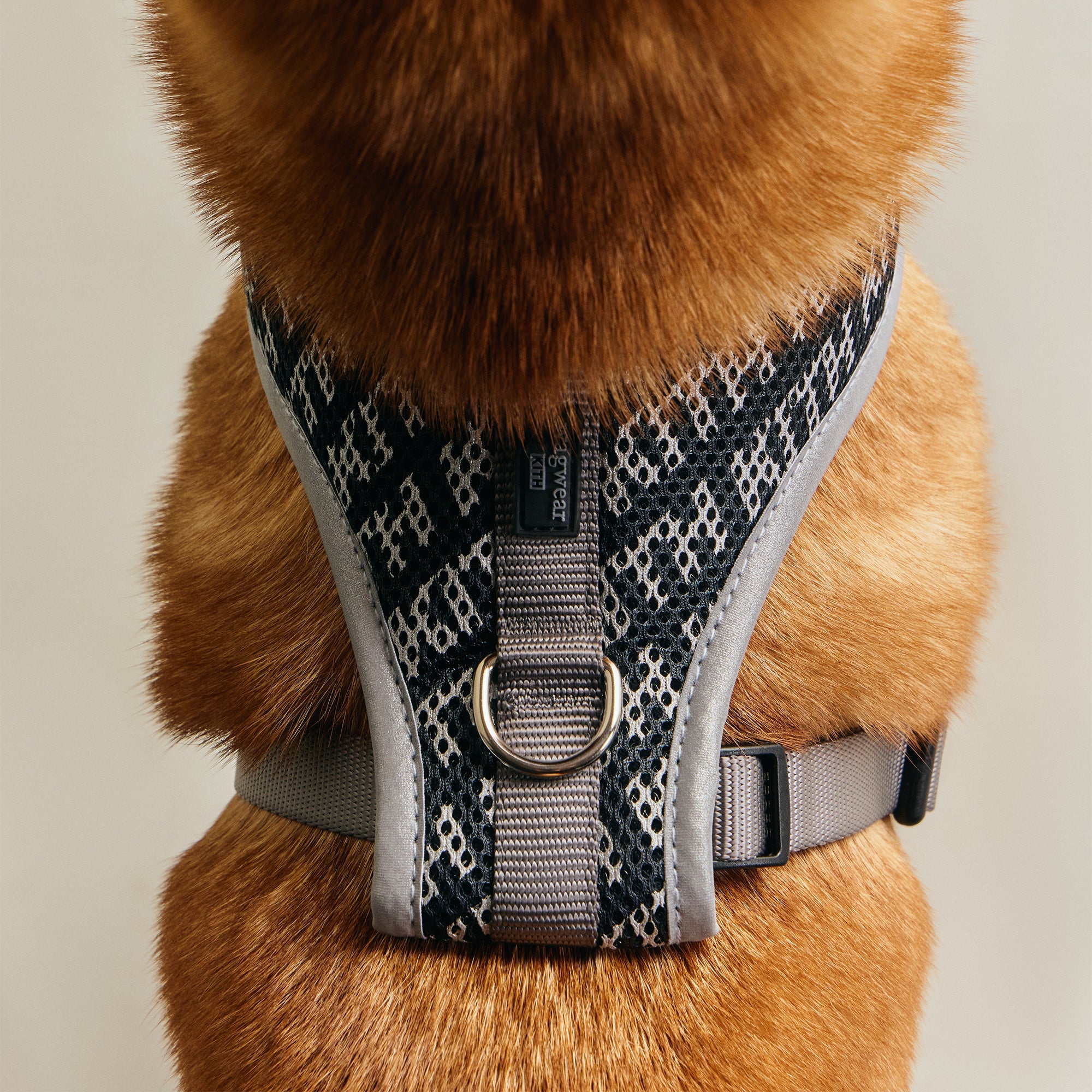 Kith for wagwear – Kith Japan