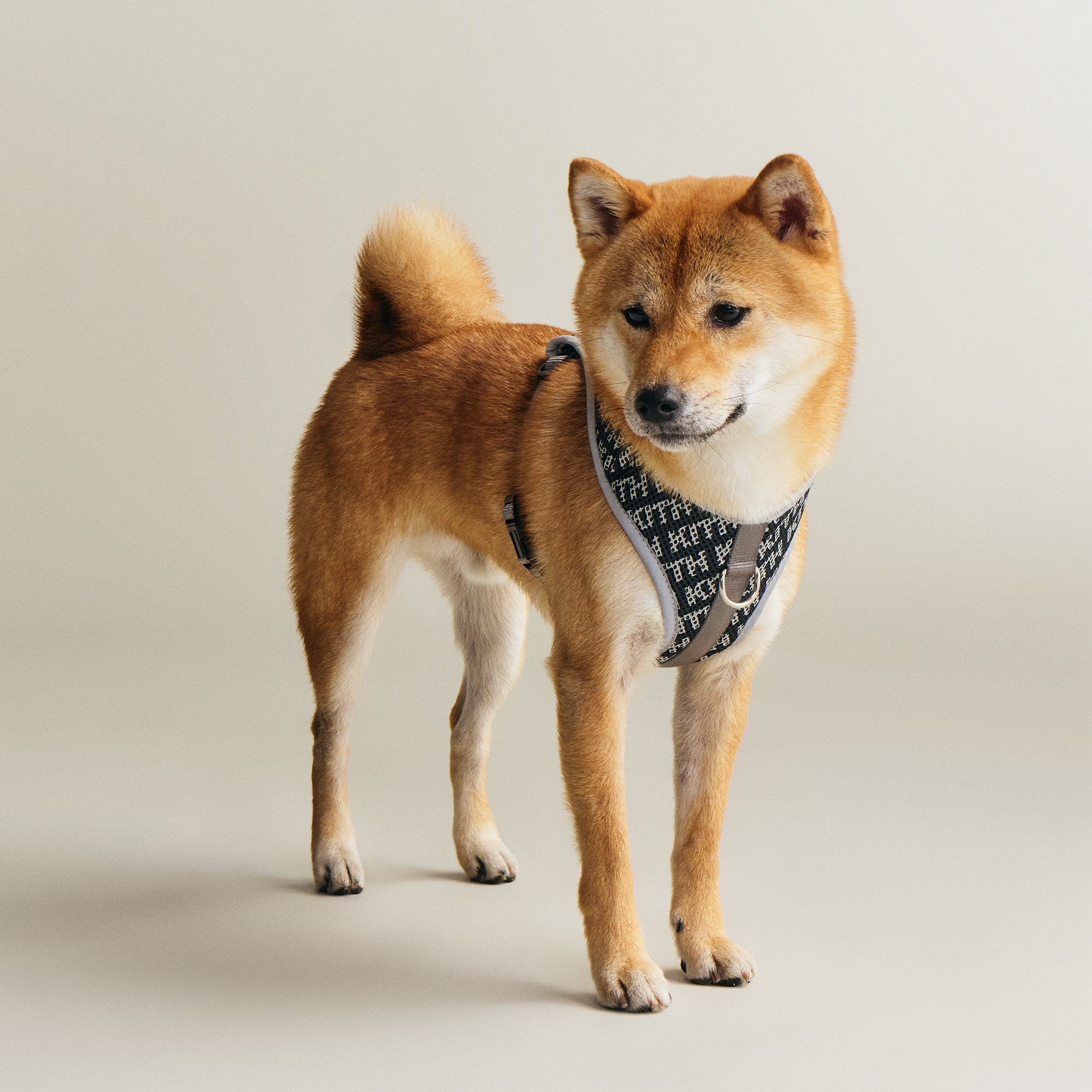 Kith for wagwear Padded Harness - Black – Kith Japan