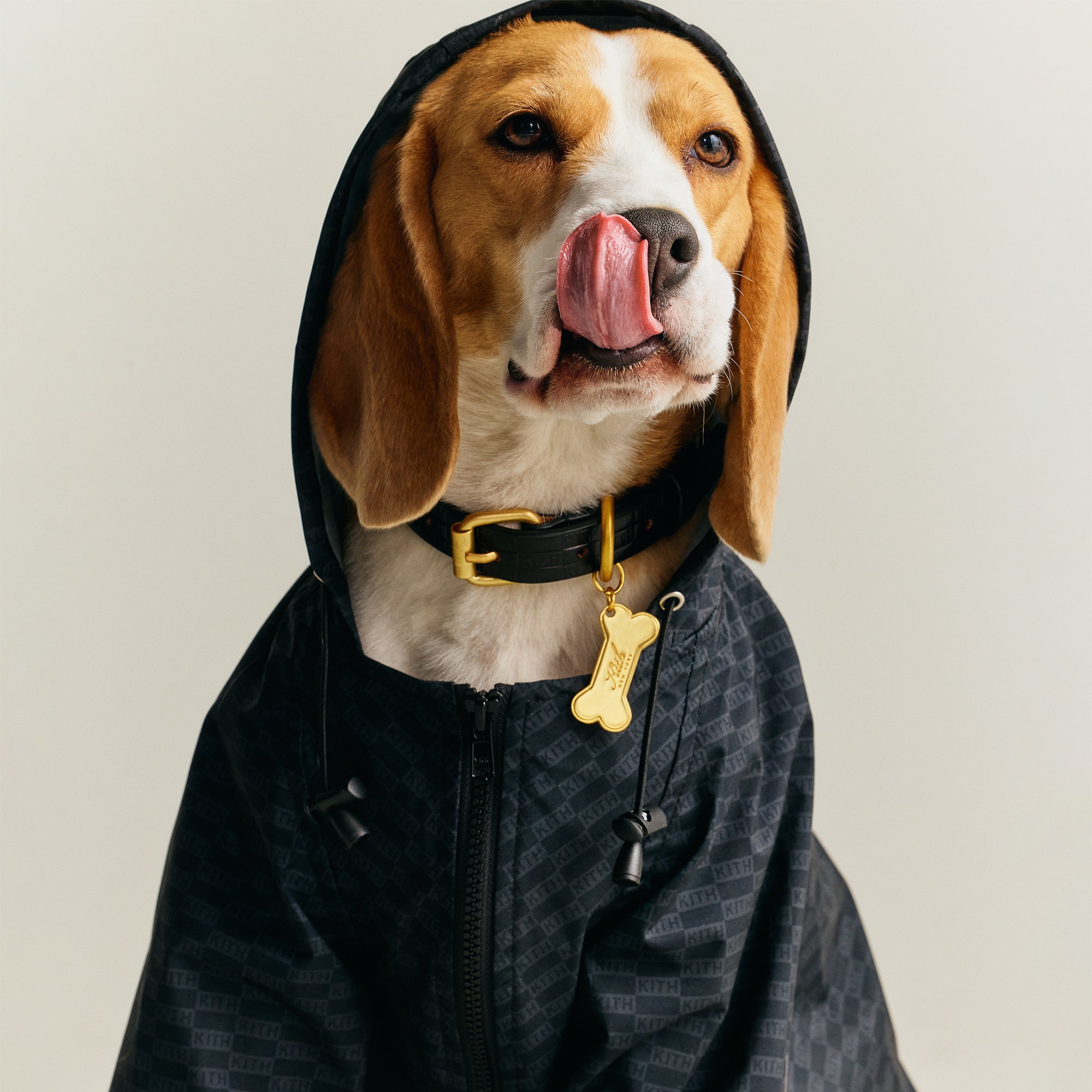 Monday Program New Releases | Kith JP – Kith Japan