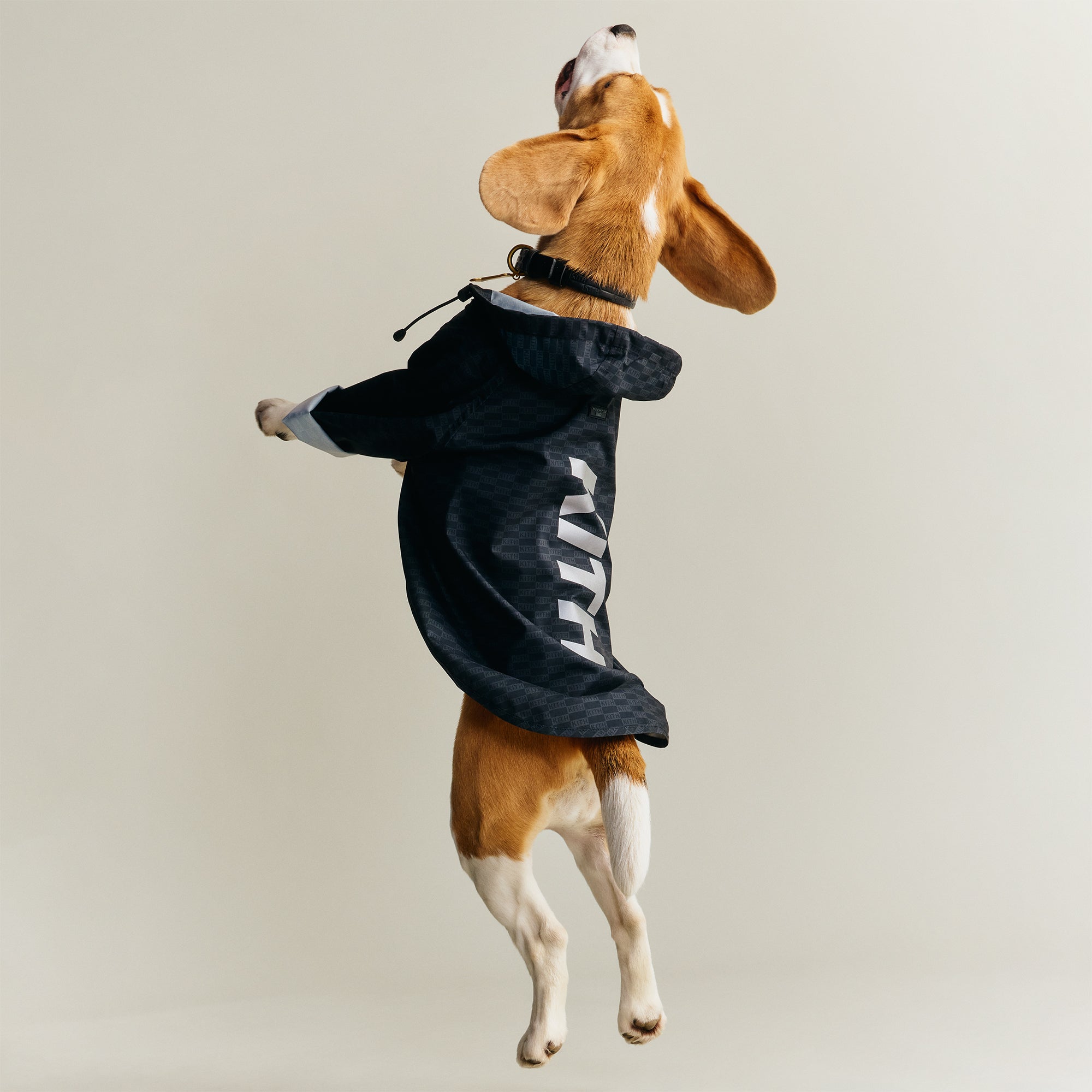 Kith for wagwear Nylon Rainbreaker - Black – Kith Japan