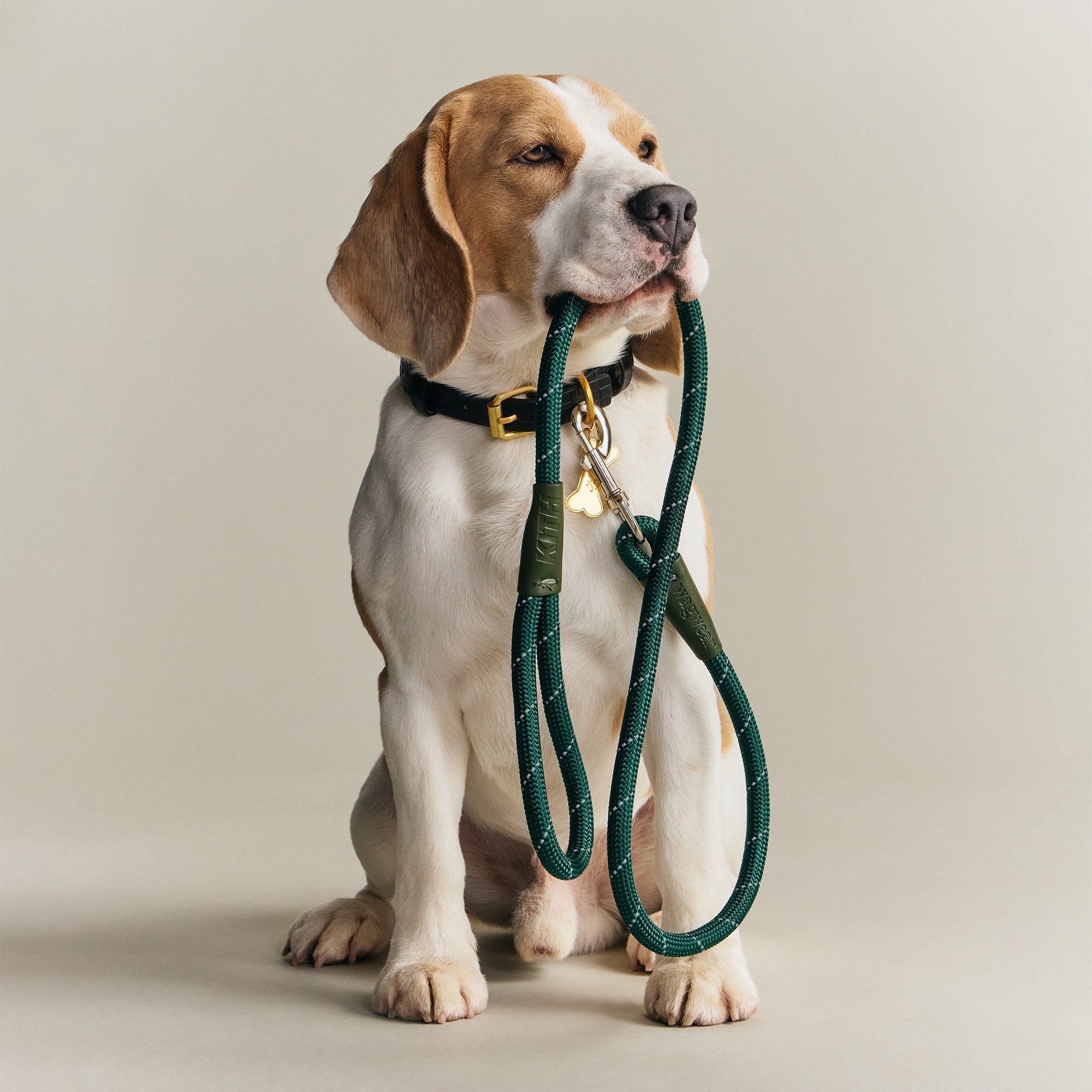 犬服・アクセサリー Kith for wagwear Nylon Rainbreaker Kith | Kith for wagwear Our first-ever pet collection is created