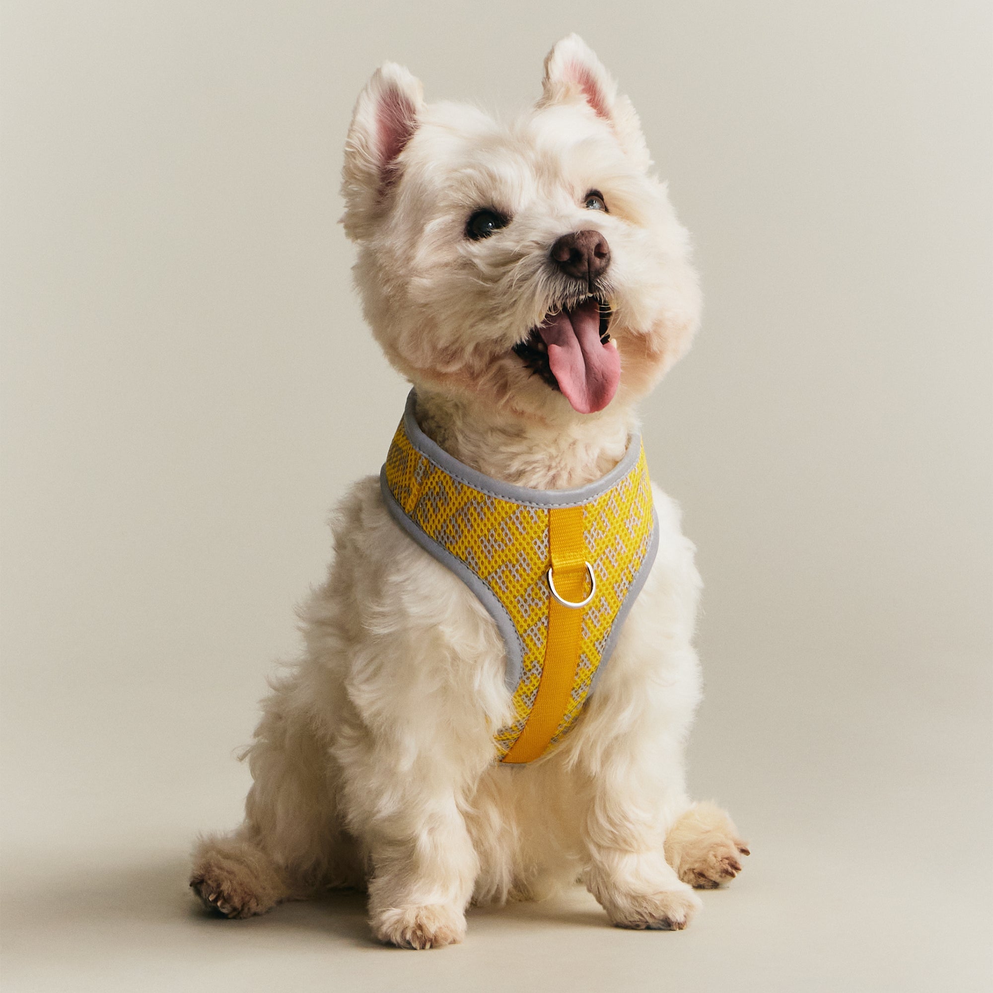 Kith for wagwear Padded Harness - Yellow – Kith Japan