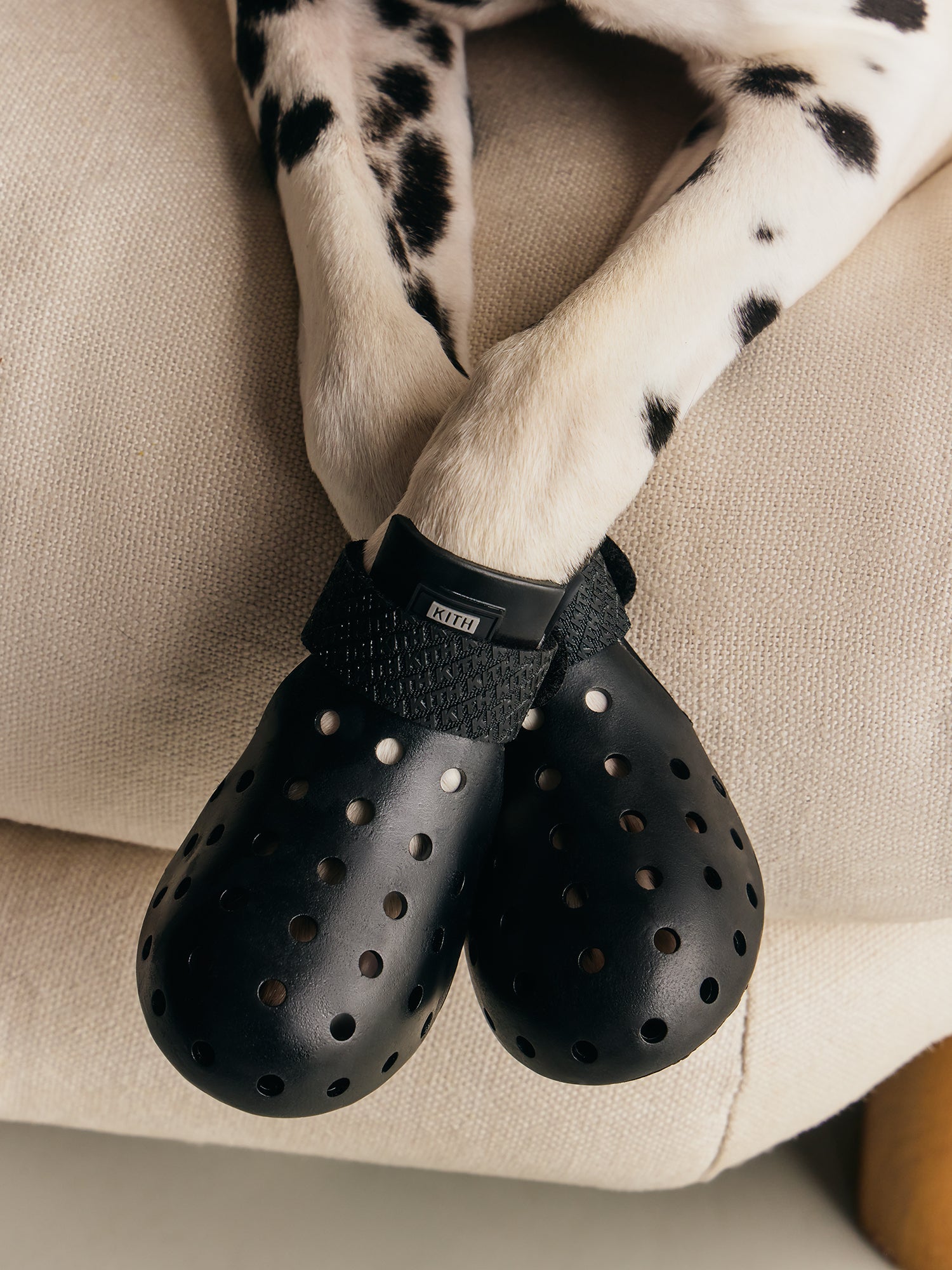 Kith for wagwear – Kith Japan