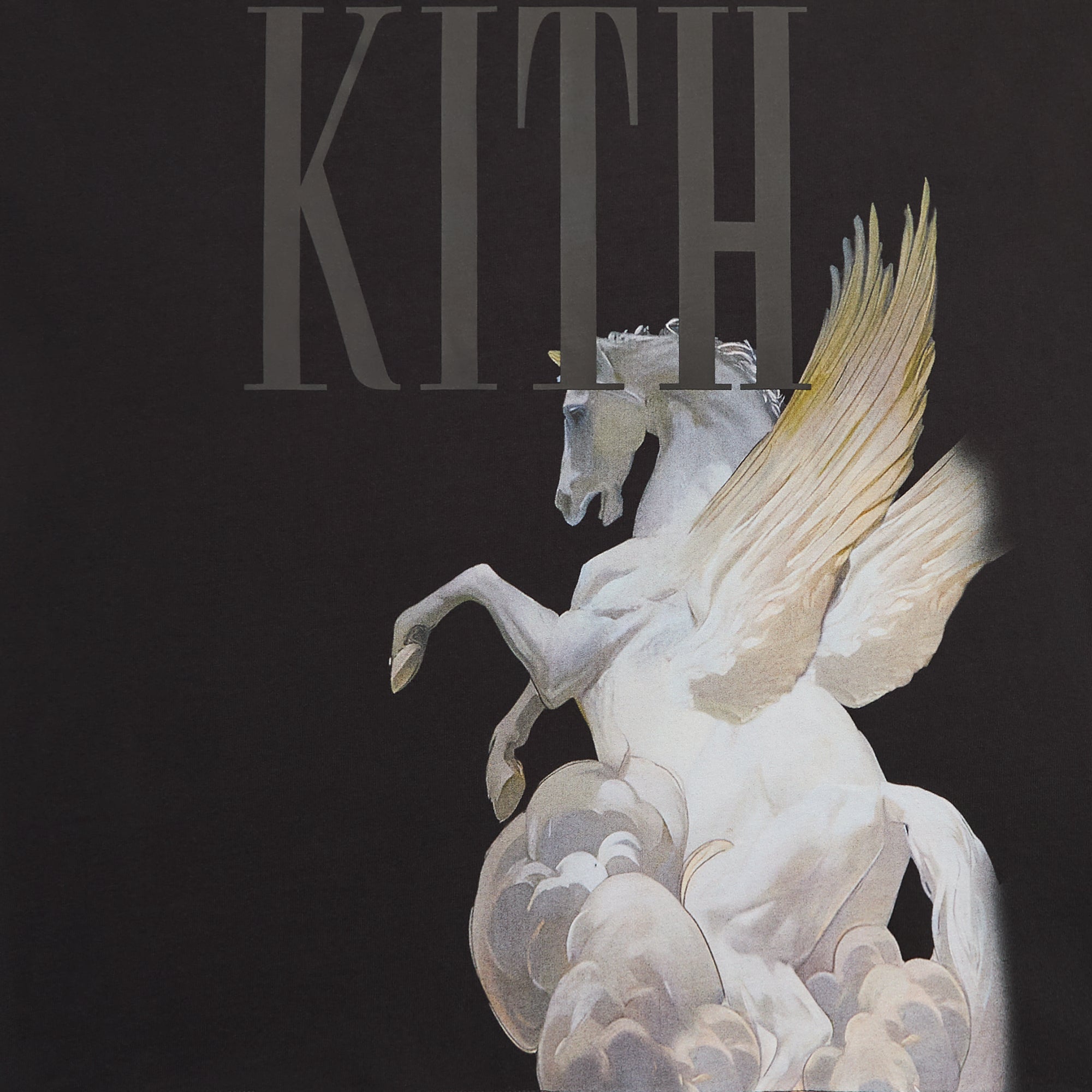 Kith Pegasus Vintage Tee - Black – Kith Japan