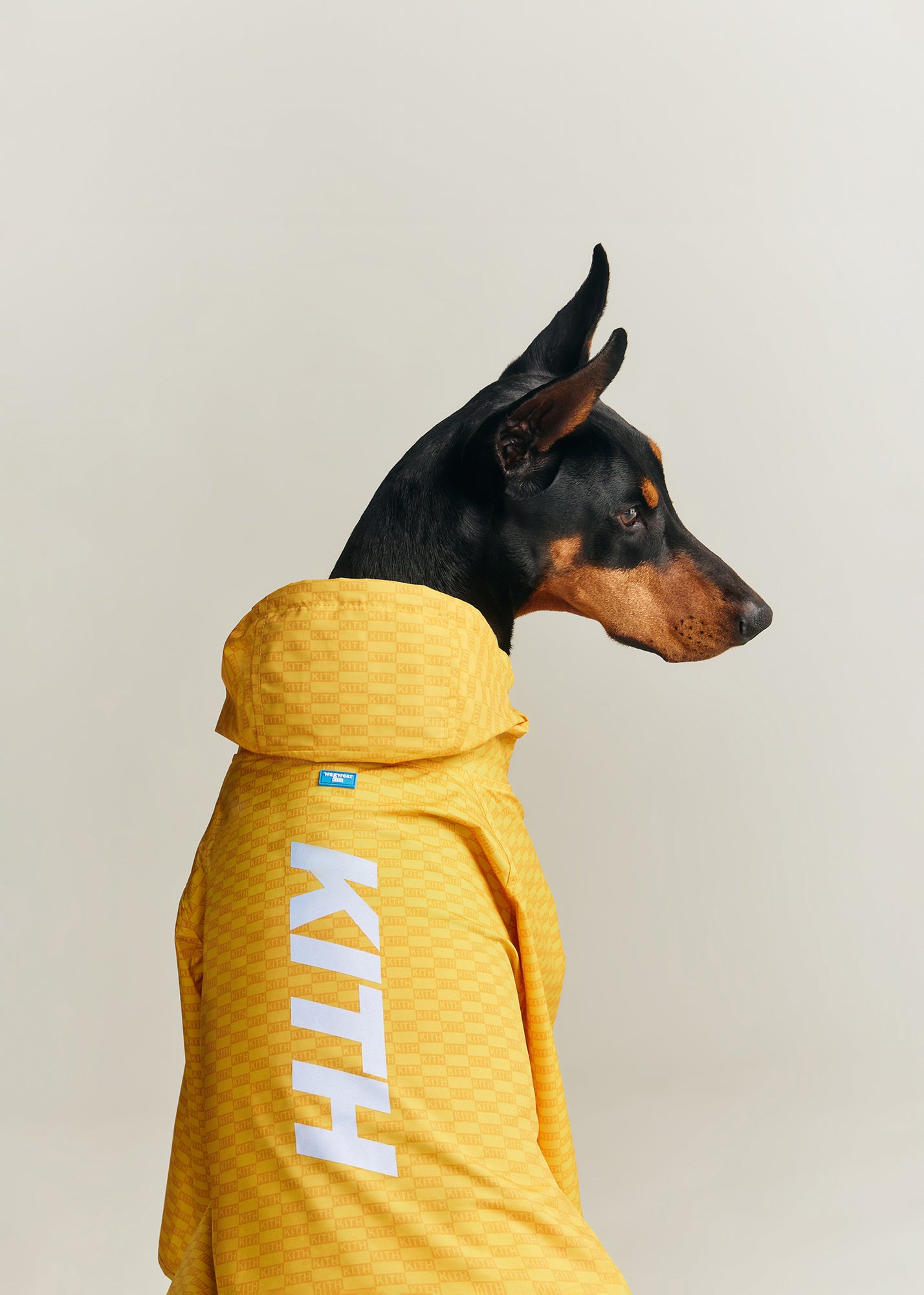 正規品 KITH キス ライアンケーブルニット スウェットシャツ Kith Japan