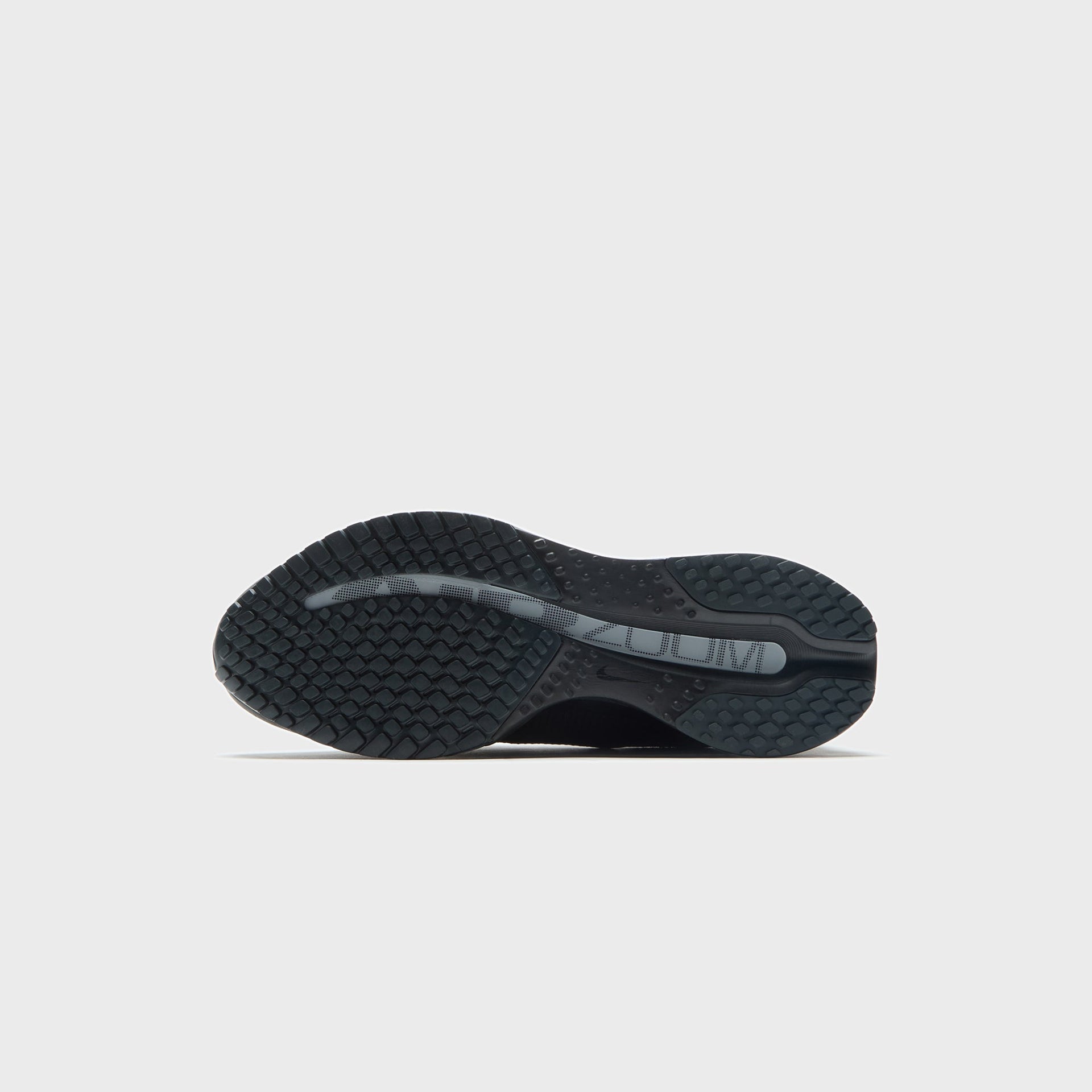 Nike Pegasus Premium SP - Black / Metallic Silver / White