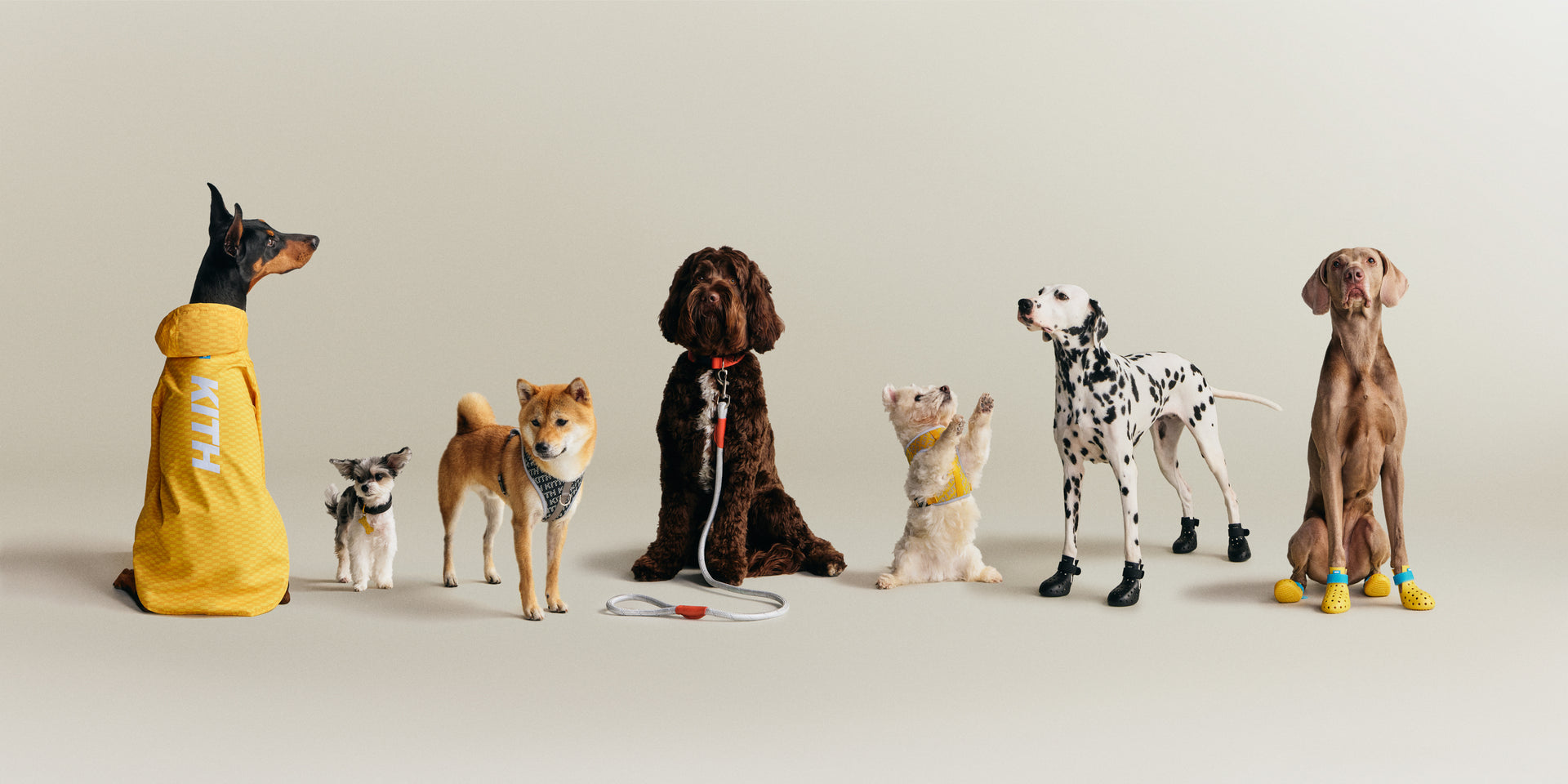 Featured | Kith Monday Program